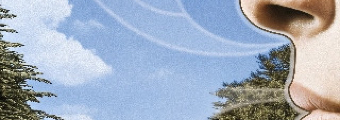 呼吸的藝術 (二) 技巧篇 - 屏息與腹式呼吸