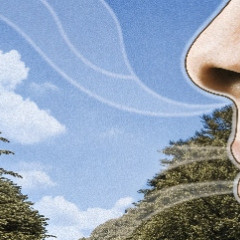 呼吸的藝術 (二) 技巧篇 - 屏息與腹式呼吸