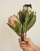 VERSALUM 脈輪滾珠精油(覺察)